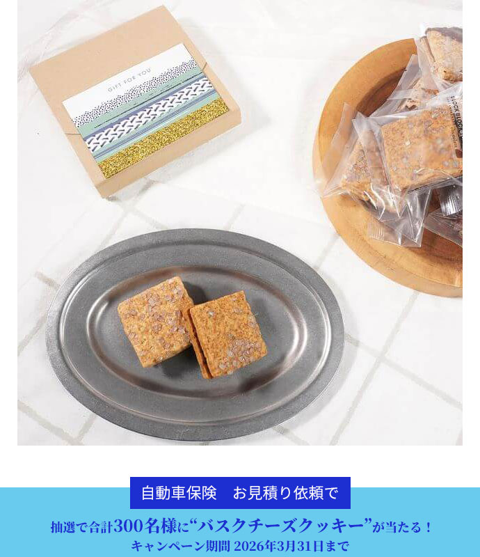 自動車保険キャンペーン